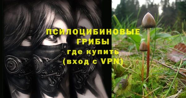 тгк Балахна